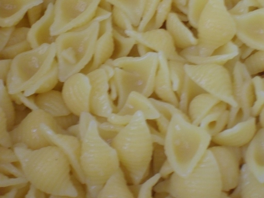 Piept de pasare cu conchiglie si zarzavat