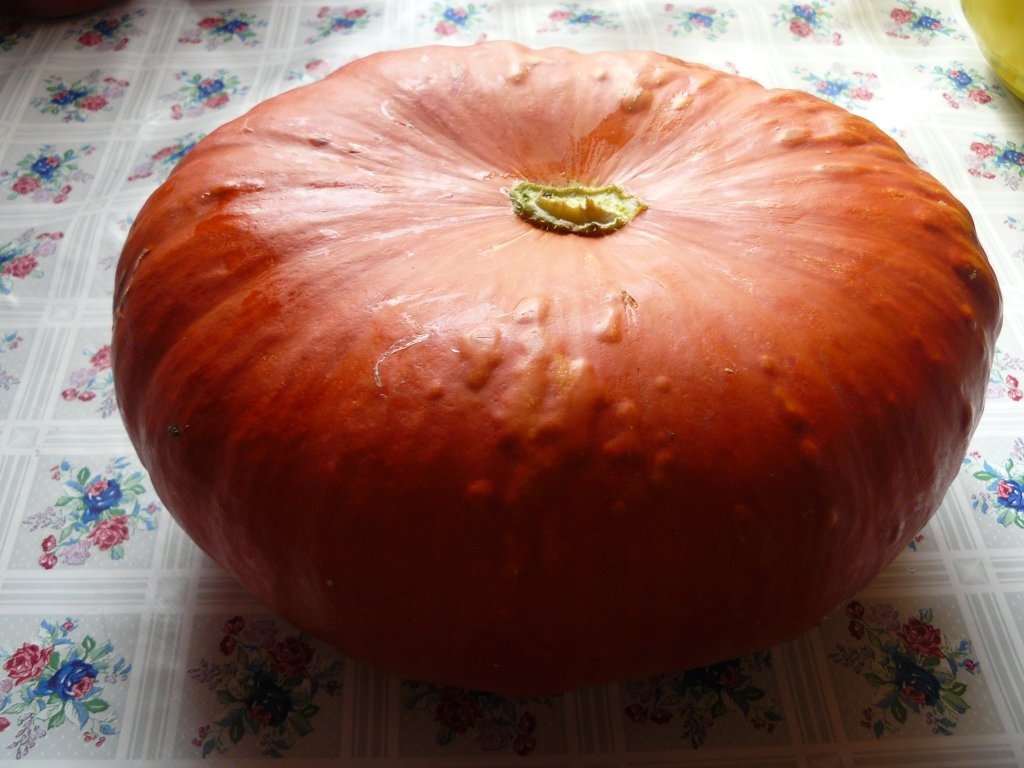 Ghiveci sau ketchup-la alegere