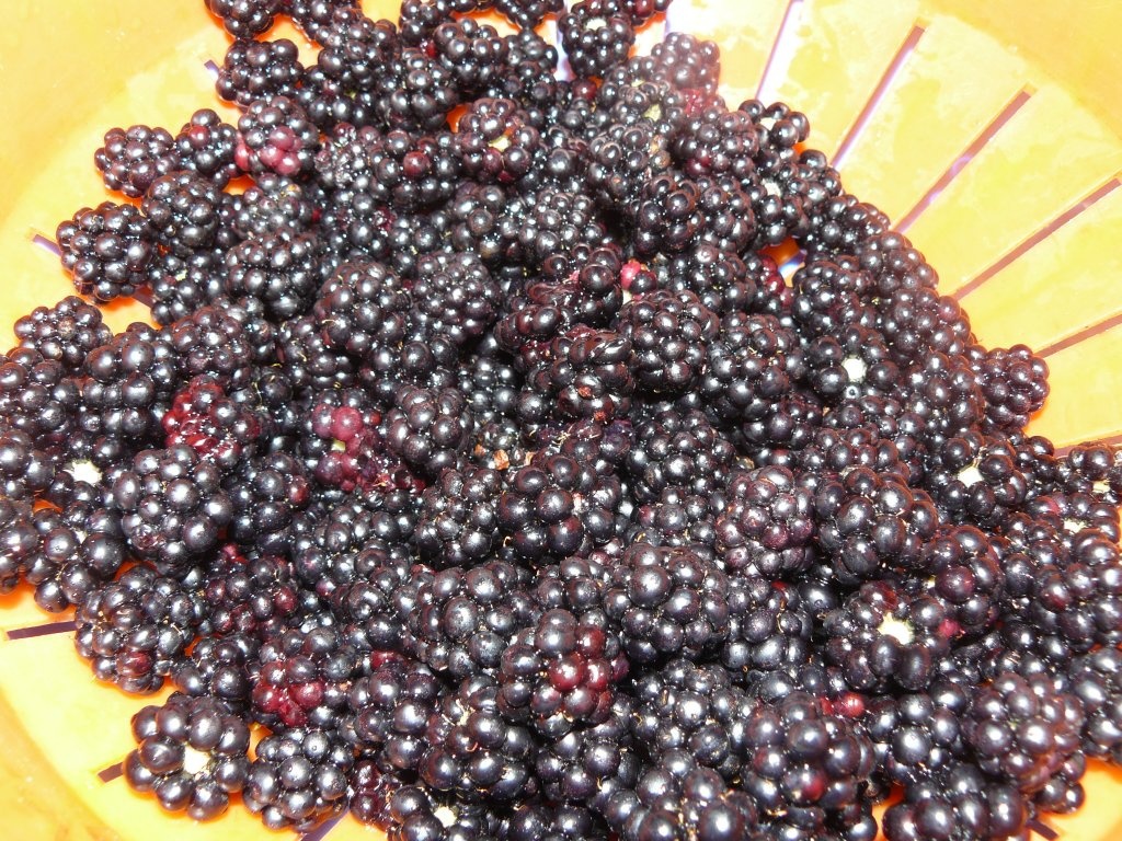 Îngheţată cu mure