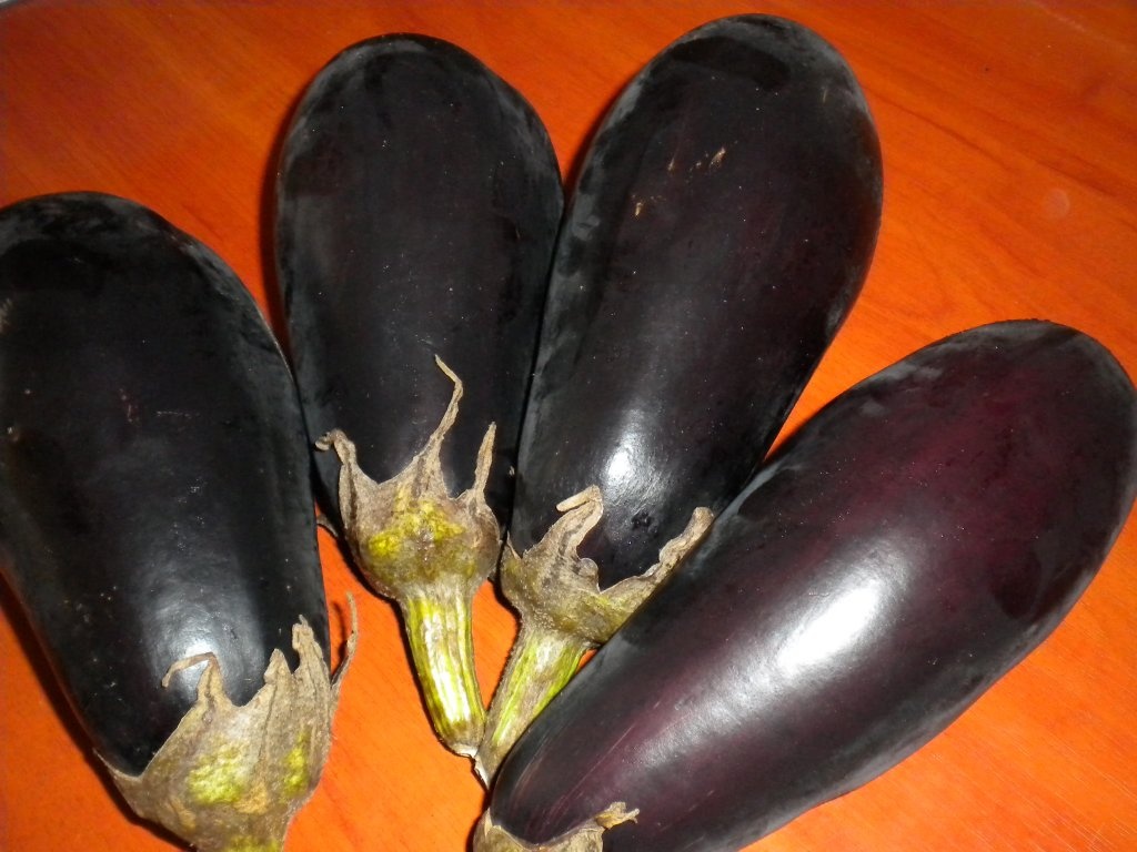 Vinete cu  fructe de mare a la Cristi Roman