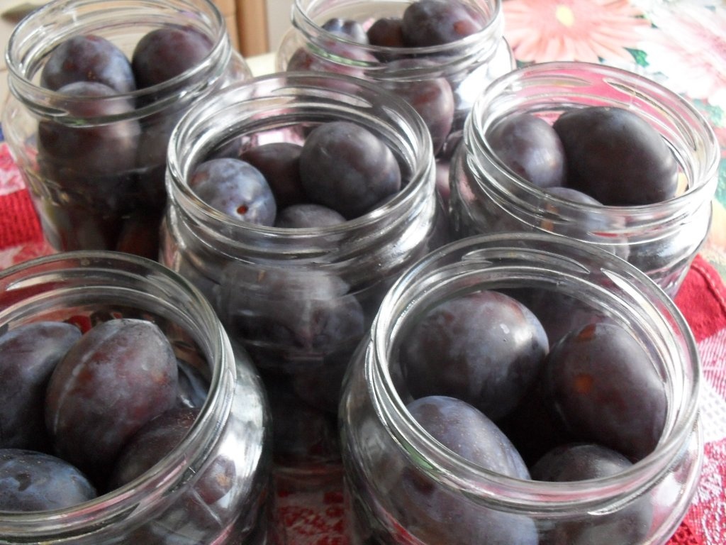 Compot pt iarna din prune brune