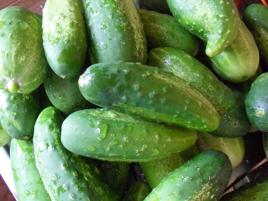 Castraveti  dulci acrisori