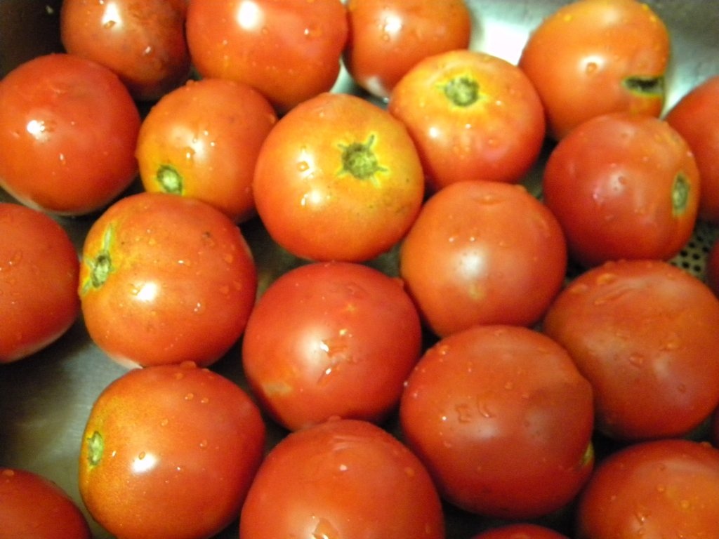 Pasta de gogosari si ardei capia