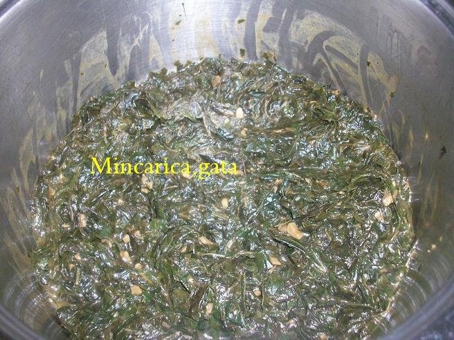 Mincare de”mulukhie”,fara carne(specific arab)