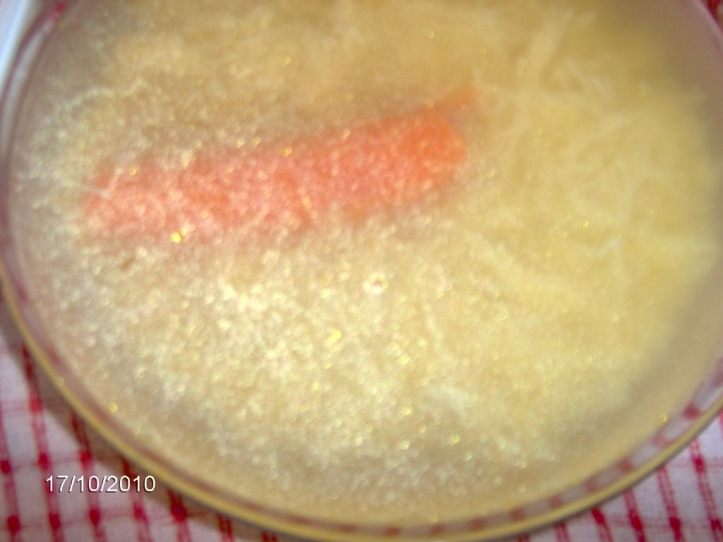 Supa de carne cu fasole alba uscata