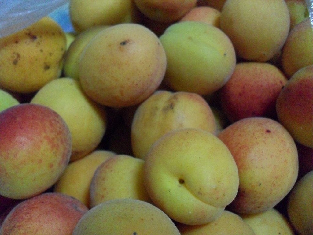 Dulceata de caise (reteta clasica)