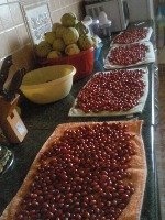 Sirop de macese, ideal pentru imunitate