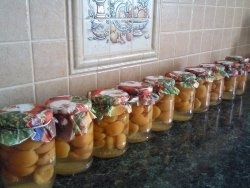 Compot de caise cu samburi decojiti