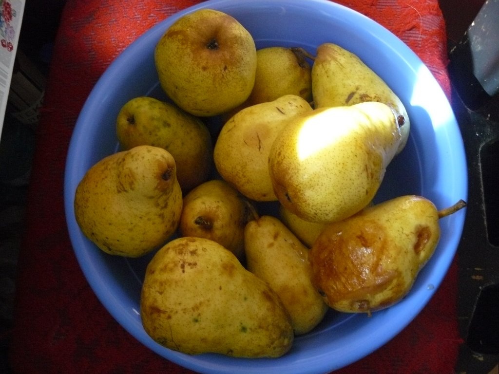 Gem plin de vitamine(merişoare, mure, pere)