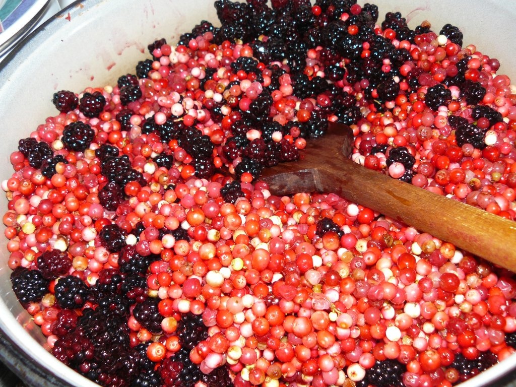 Gem plin de vitamine(merişoare, mure, pere)