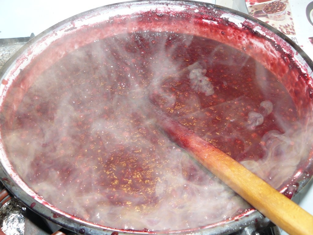 Gem plin de vitamine(merişoare, mure, pere)