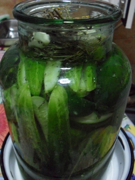 Castraveti murati la soare