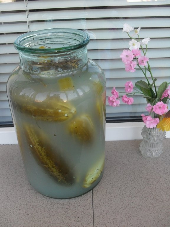 Castraveti murati la soare