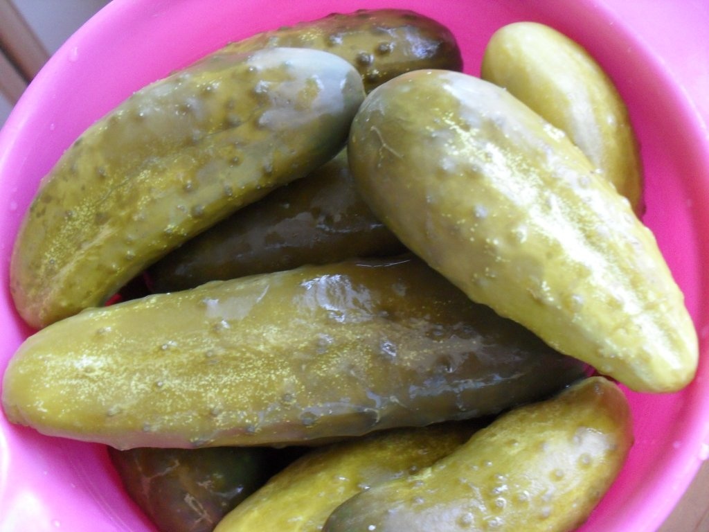 Castraveti murati la soare