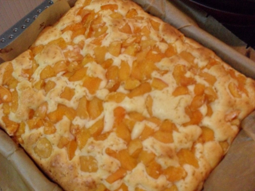 Prajitura cu caise vedeta verii!