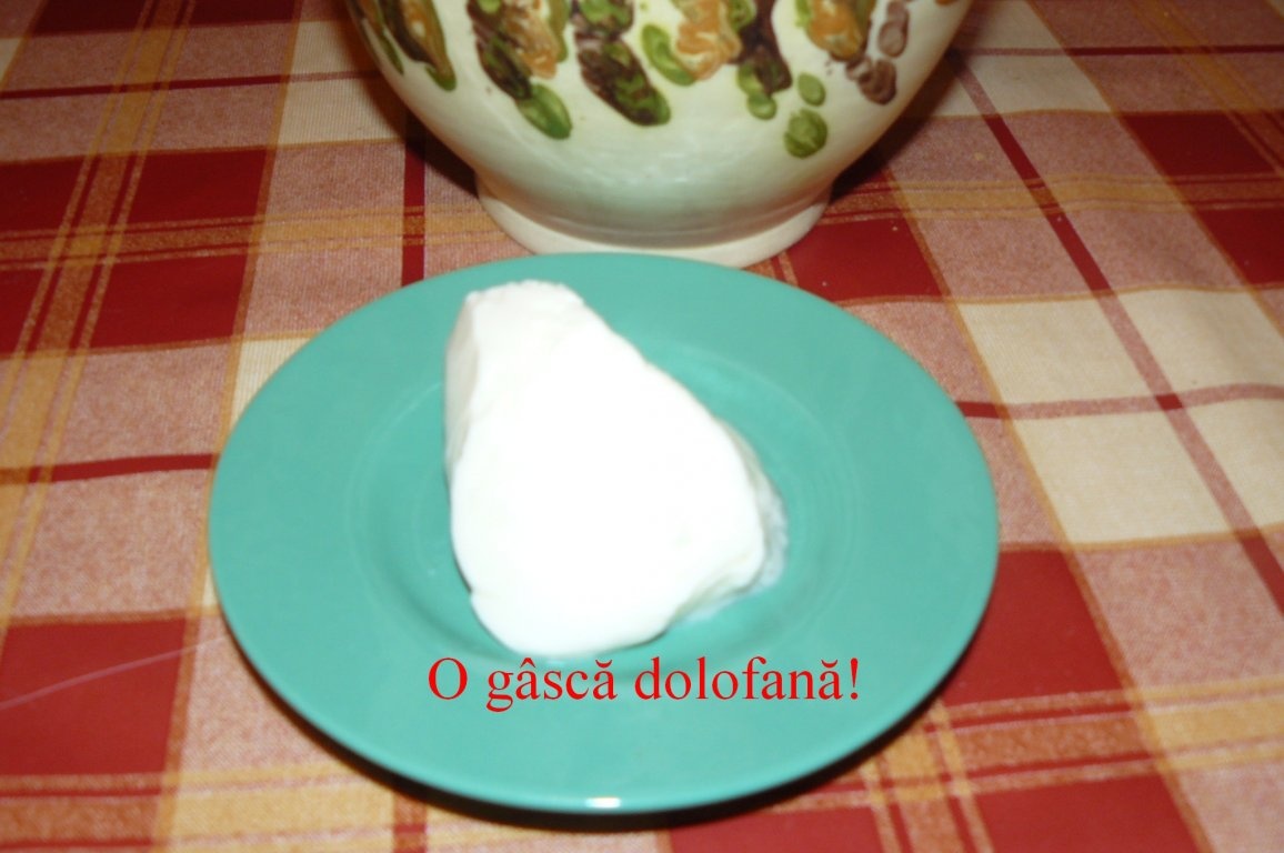 Lapte covăsât(iaurt de casă)