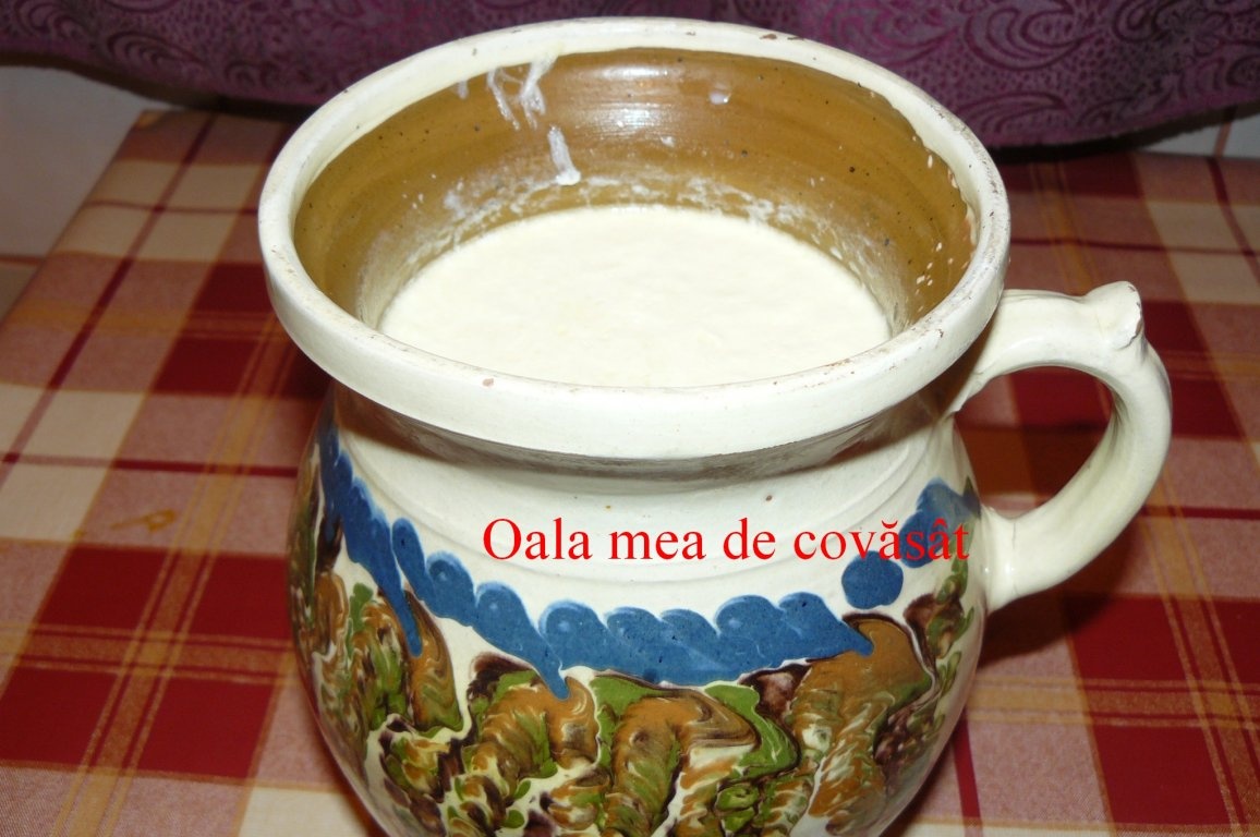 Lapte covăsât(iaurt de casă)