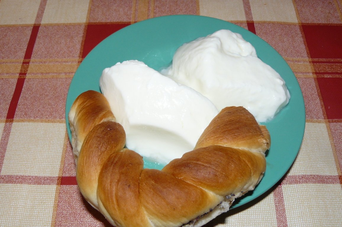 Lapte covăsât(iaurt de casă)