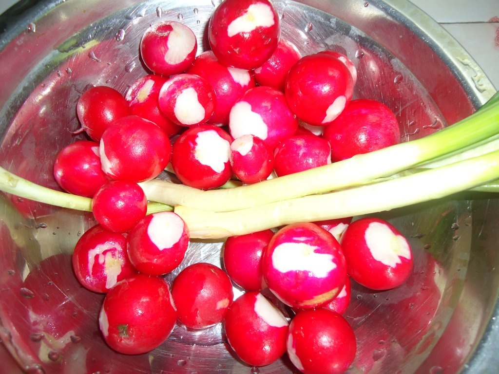 Slata de ridichi si ou