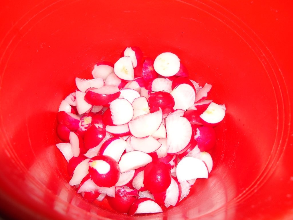 Slata de ridichi si ou