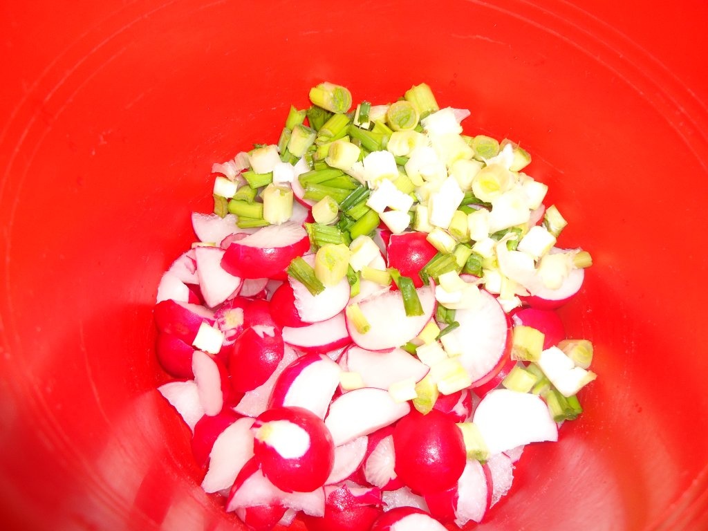 Slata de ridichi si ou