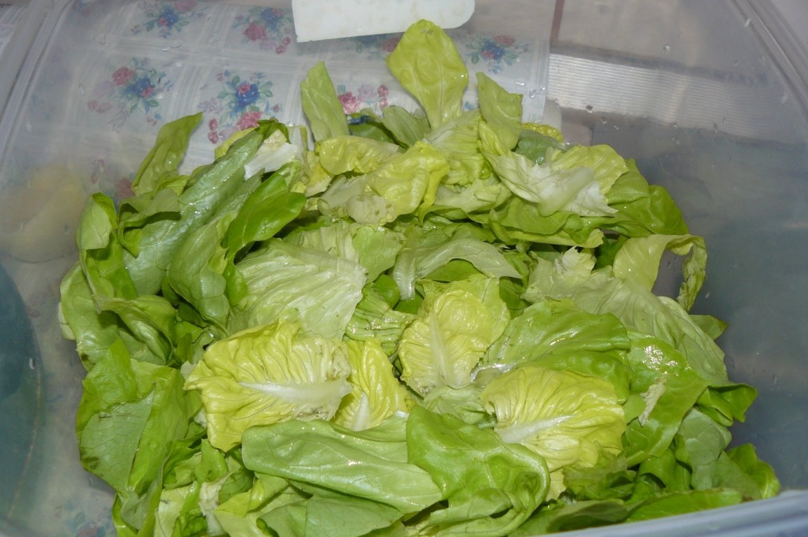 Cuşcuş cu friptură de pui şi salata verde