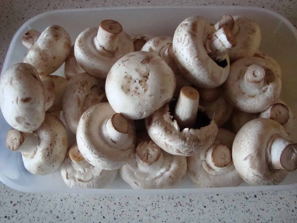 Cartofi cu smantana si marar & ciuperci sote