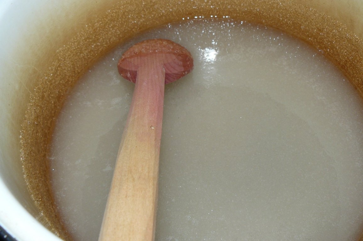 Ciocolata de casa (reteta traditionala)