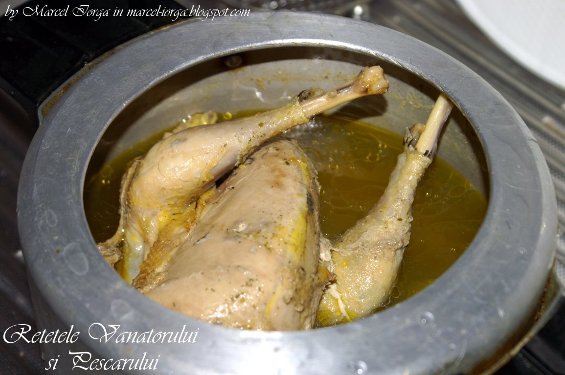 Fazan cu sos de struguri