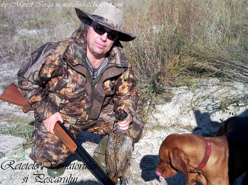 Fazan cu sos de struguri