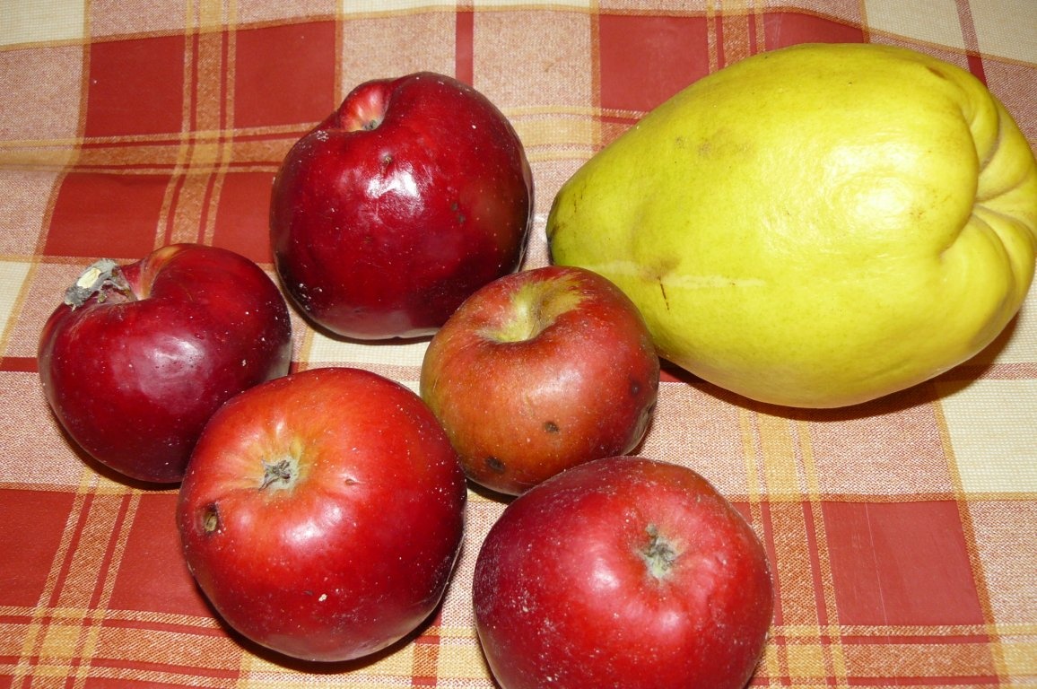 Tartă  răsturnată (cu mere şi gutuie)