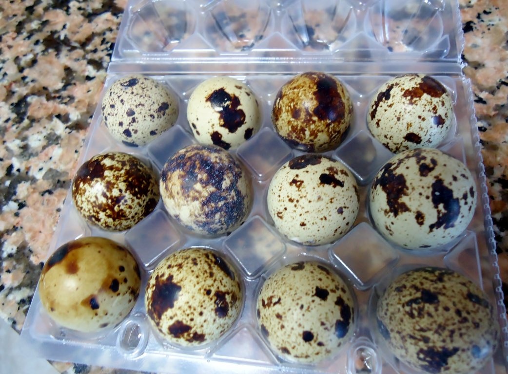 Pizza cu porumb si oua de prepelita