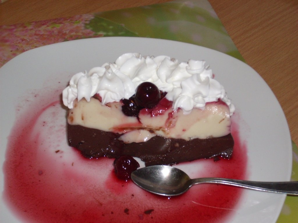 Budinca de vanilie si ciocolata amaruie de post