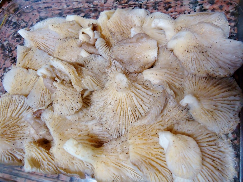 Ciuperci de padure cu unt