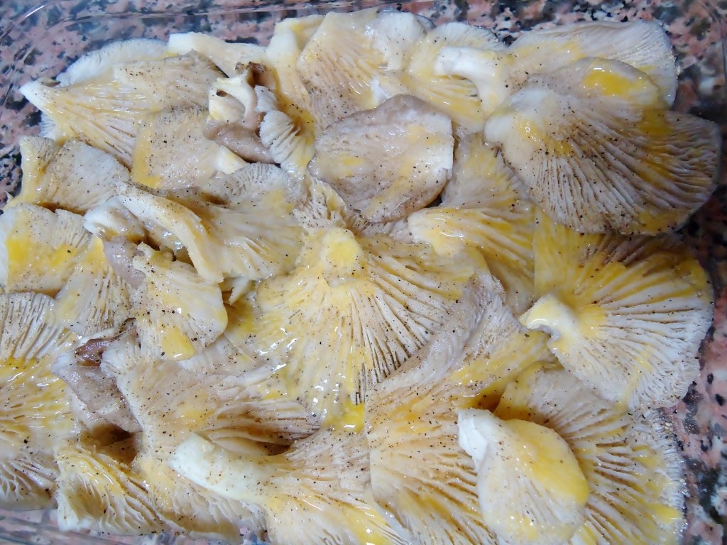 Ciuperci de padure cu unt