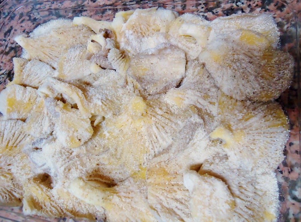 Ciuperci de padure cu unt