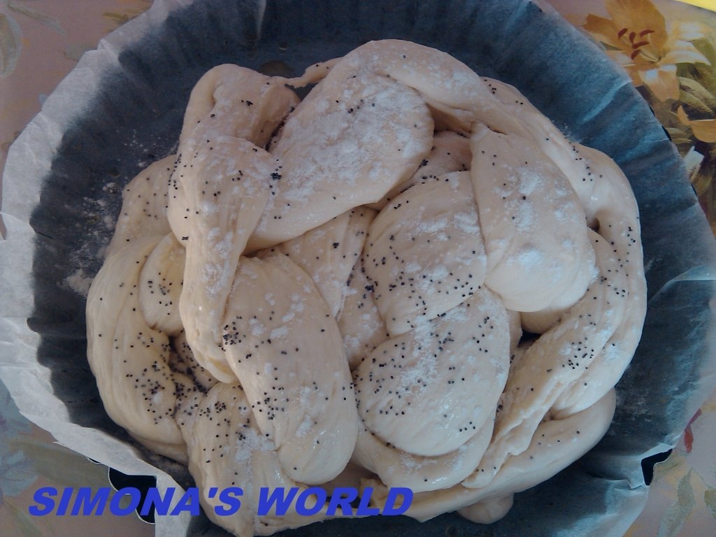 Paine alba impletita