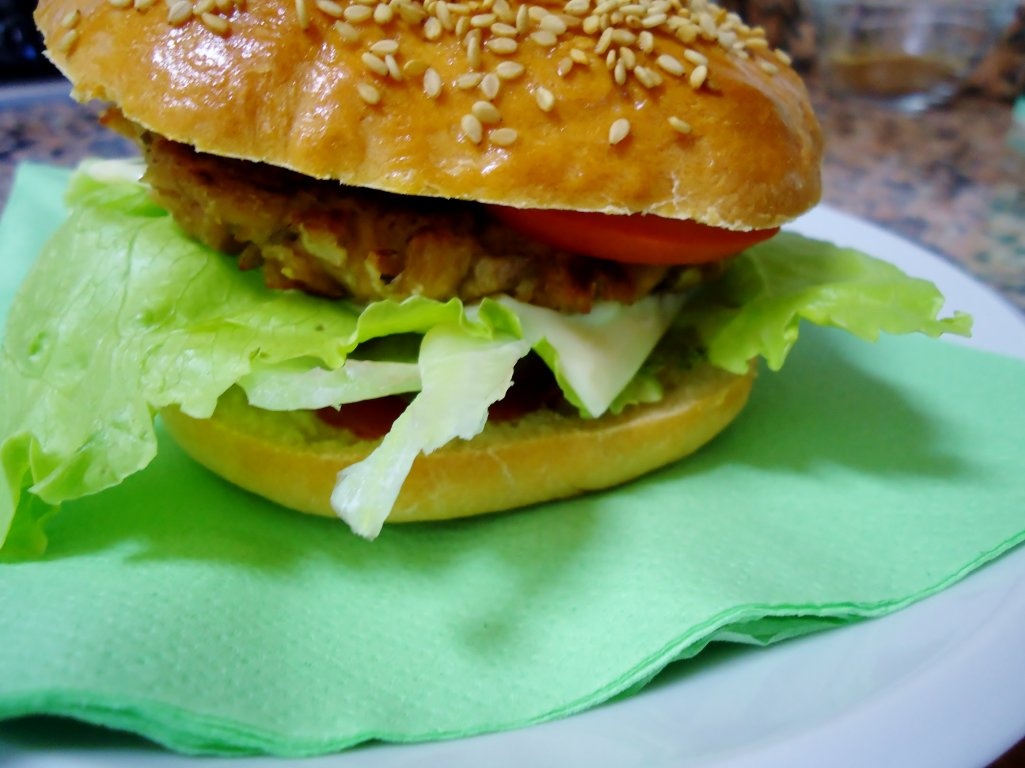 Hamburger de soia