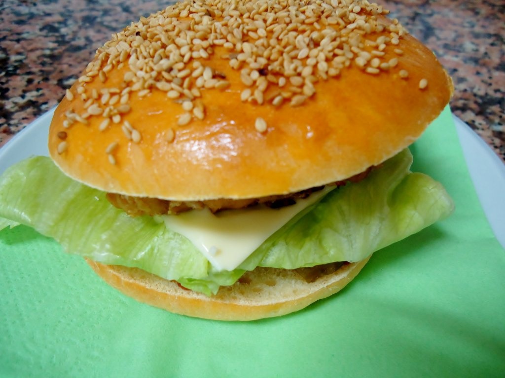 Hamburger de soia