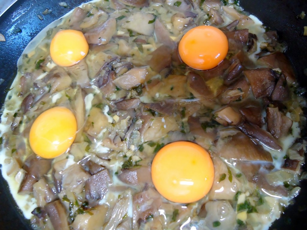 Ciuperci de padure cu oua