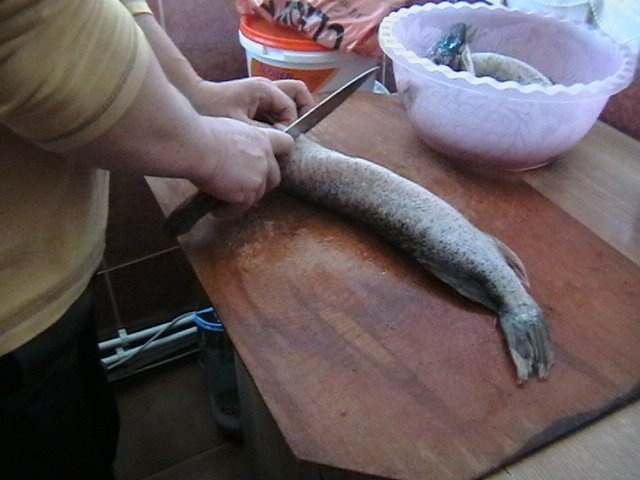 Stiuca umpluta cu chiftelute