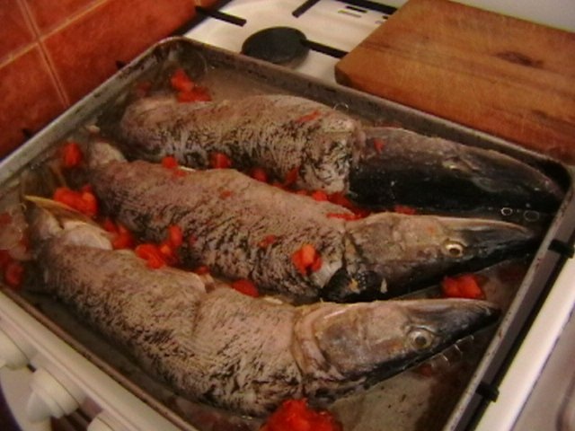 Stiuca umpluta cu chiftelute