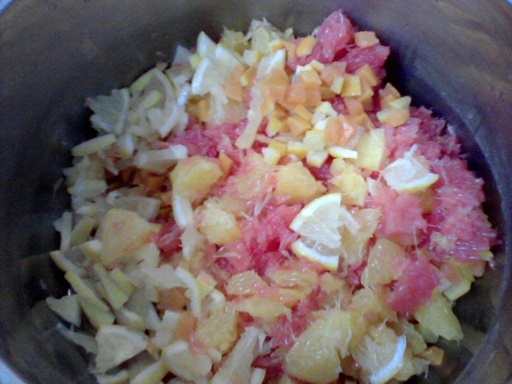 Dulceata de portocale, grape-fruit si lamaie