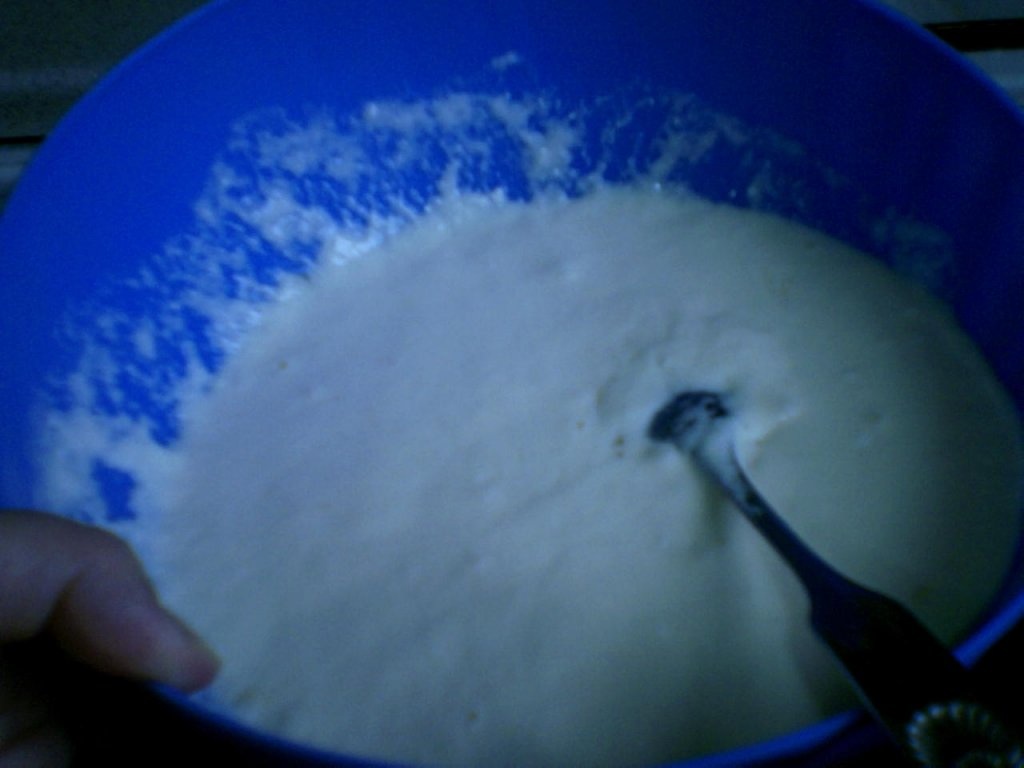 Placinta bulgareasca