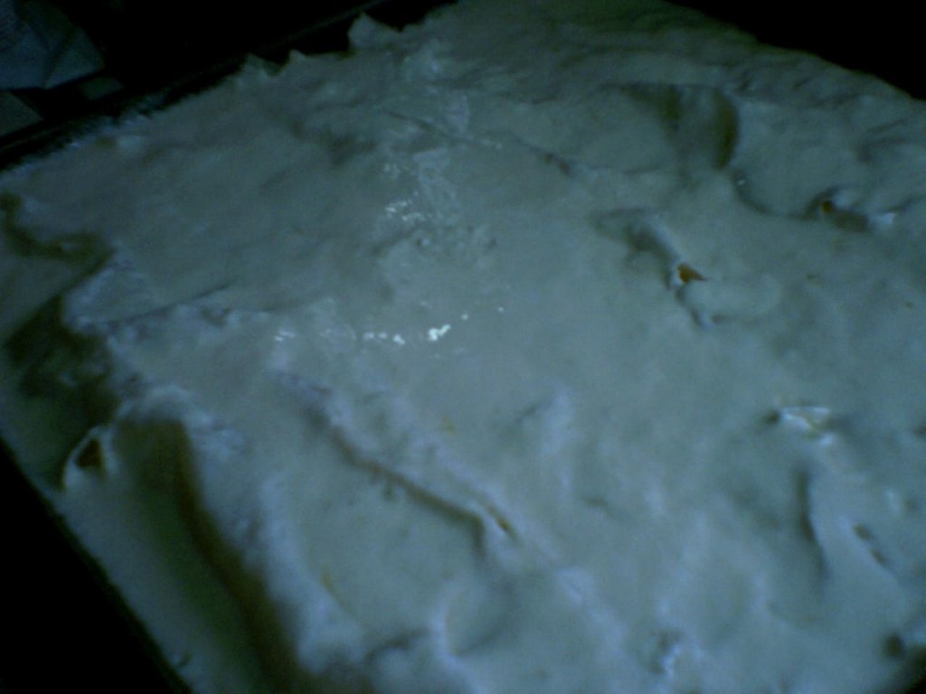 Placinta bulgareasca