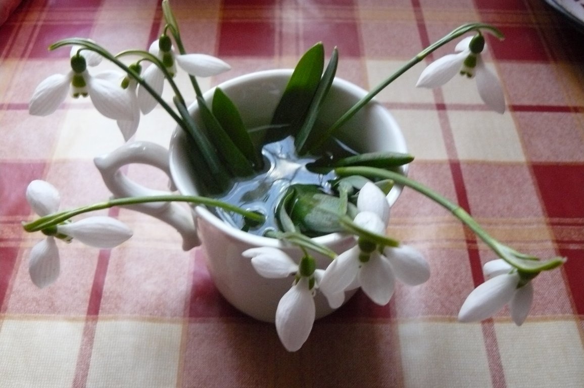 Plăcinte uşoare pentru fiecare moment al zilei