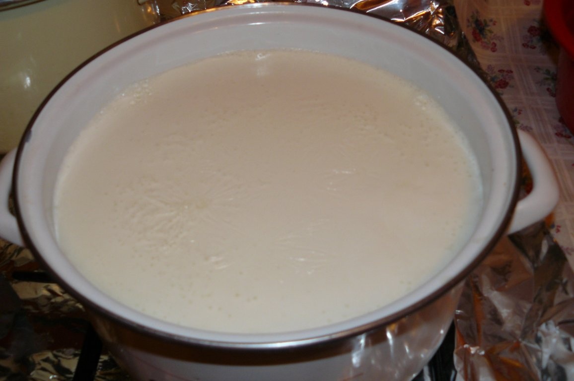 Brânză de vaci de casă(Topfen)