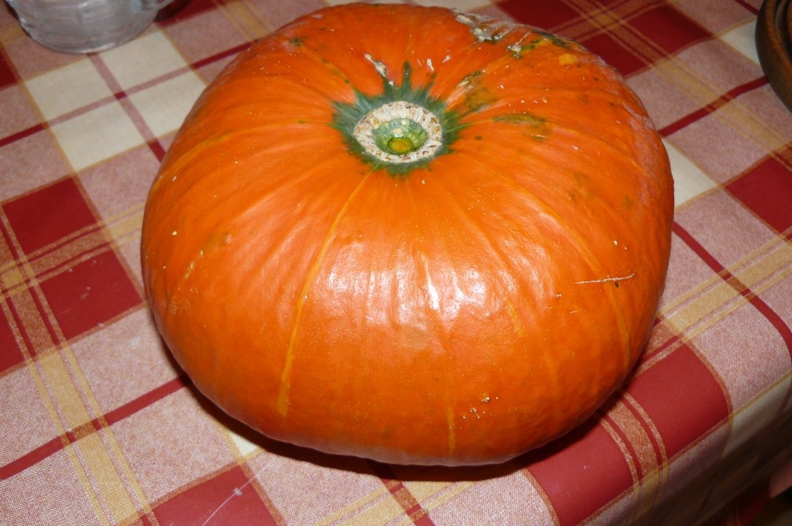 Tartă cu dovleac şi urdă(2 variante)