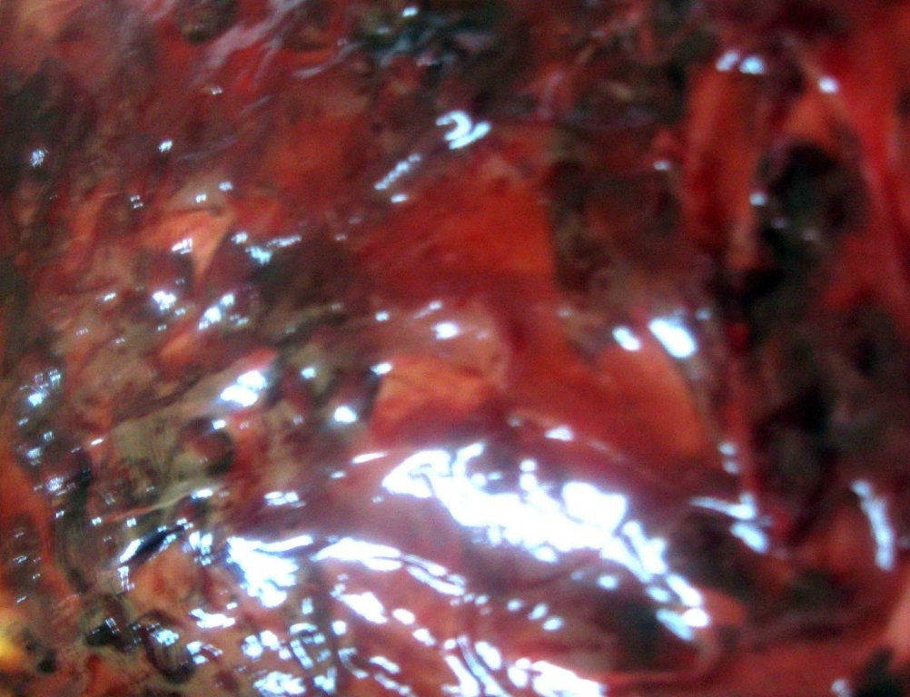 Prajitura « Dunarea »