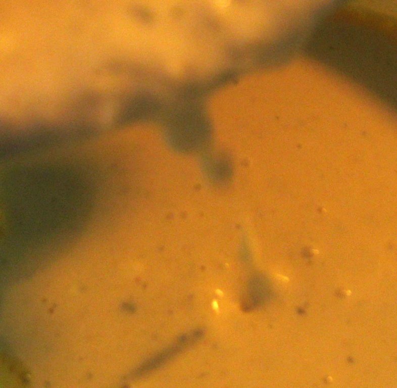 Soufflé de brocoli, conopida si dovlecei